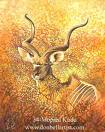 Avatar de kudu