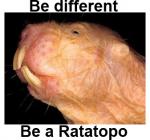 Avatar de RataTopo